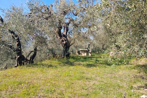 Helårsgrund i Sirignano, Avellino, Sirignano - € 15.000 | Ref: 459578 - foto 14