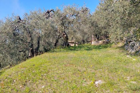 Helårsgrund i Sirignano, Avellino, Sirignano - € 15.000 | Ref: 459578 - foto 15