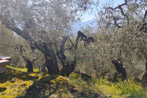 Helårsgrund i Sirignano, Avellino, Sirignano - € 15.000 | Ref: 459578 - foto 16