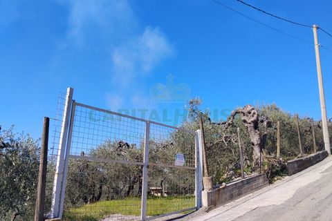 Helårsgrund i Sirignano, Avellino, Sirignano - € 15.000 | Ref: 459578 - foto 17
