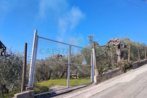 Helårsgrund i Sirignano, Avellino, Sirignano - € 15.000 | Ref: 459578 - foto 18