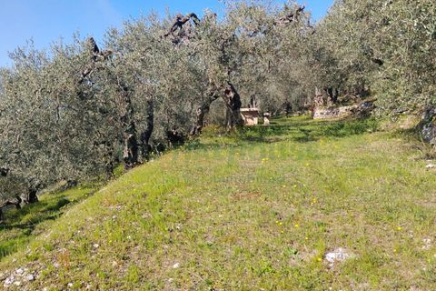 Helårsgrund i Sirignano, Avellino, Sirignano - € 15.000 | Ref: 459578 - foto 19