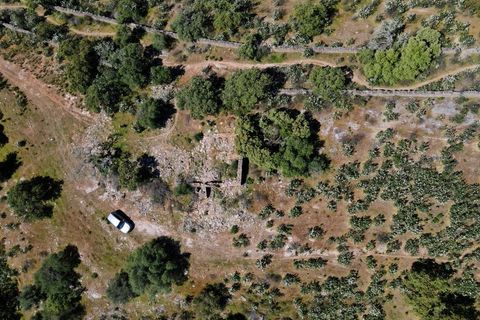 Helårsgrund i Evora, Evora, Evora - € 630.000 | Ref: NF064 - foto 9