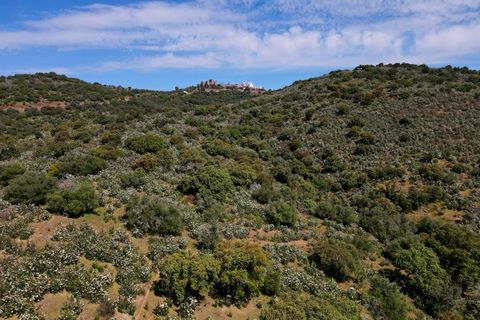 Helårsgrund i Evora, Evora, Evora - € 630.000 | Ref: NF064 - foto 11