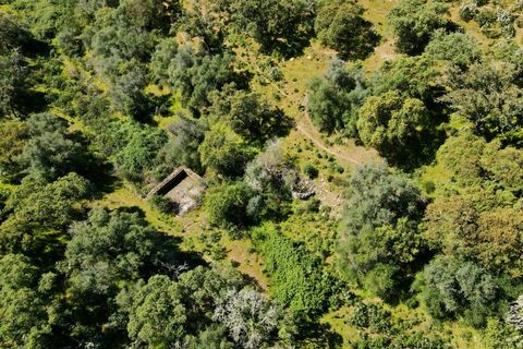 Helårsgrund i Evora, Evora, Evora - € 630.000 | Ref: NF064 - foto 13
