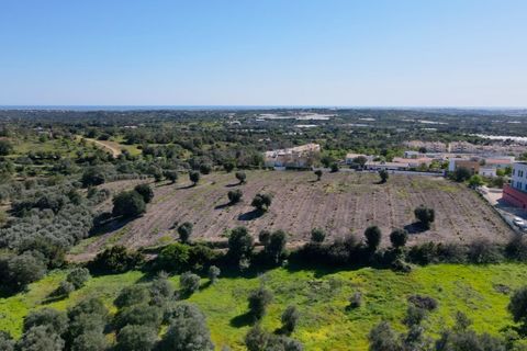 Erhvervsejendom i Estoi, Faro, Estoi - € 2.200.000 | Ref: RC007 - foto 4