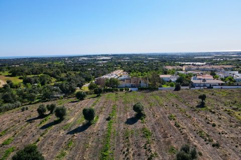 Erhvervsejendom i Estoi, Faro, Estoi - € 2.200.000 | Ref: RC007 - foto 5