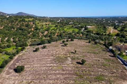 Erhvervsejendom i Estoi, Faro, Estoi - € 2.200.000 | Ref: RC007 - foto 3
