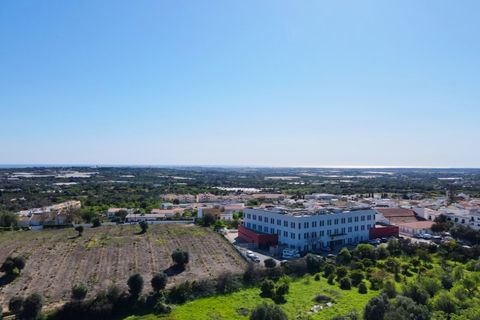 Erhvervsejendom i Estoi, Faro, Estoi - € 2.200.000 | Ref: RC007 - foto 7