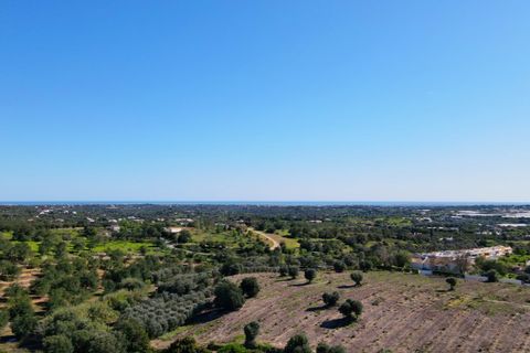Erhvervsejendom i Estoi, Faro, Estoi - € 2.200.000 | Ref: RC007 - foto 8