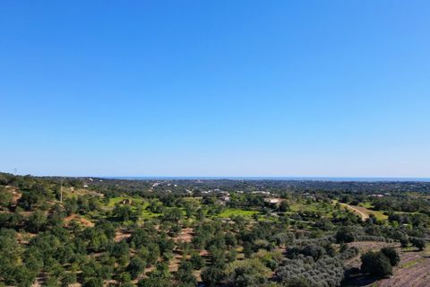 Erhvervsejendom i Estoi, Faro, Estoi - € 2.200.000 | Ref: RC007 - foto 9