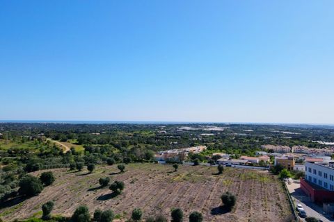 Erhvervsejendom i Estoi, Faro, Estoi - € 2.200.000 | Ref: RC007 - foto 11