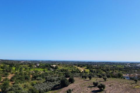 Erhvervsejendom i Estoi, Faro, Estoi - € 2.200.000 | Ref: RC007 - foto 12