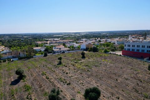 Erhvervsejendom i Estoi, Faro, Estoi - € 2.200.000 | Ref: RC007 - foto 13