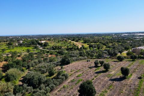Erhvervsejendom i Estoi, Faro, Estoi - € 2.200.000 | Ref: RC007 - foto 14