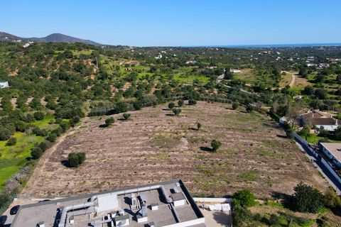 Erhvervsejendom i Estoi, Faro, Estoi - € 2.200.000 | Ref: RC007 - foto 16