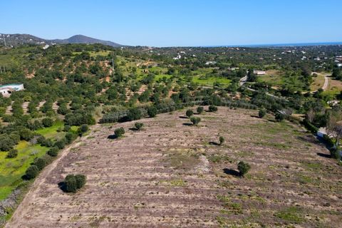 Erhvervsejendom i Estoi, Faro, Estoi - € 2.200.000 | Ref: RC007 - foto 17