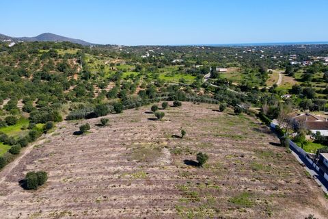 Erhvervsejendom i Estoi, Faro, Estoi - € 2.200.000 | Ref: RC007 - foto 18