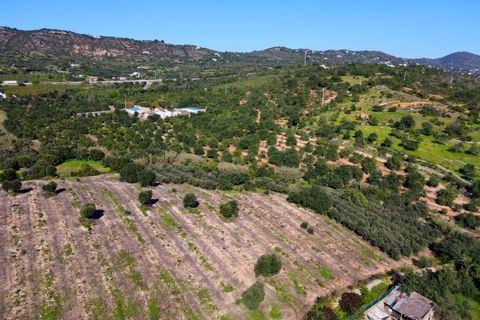 Erhvervsejendom i Estoi, Faro, Estoi - € 2.200.000 | Ref: RC007 - foto 20