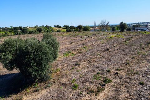 Erhvervsejendom i Estoi, Faro, Estoi - € 2.200.000 | Ref: RC007 - foto 21