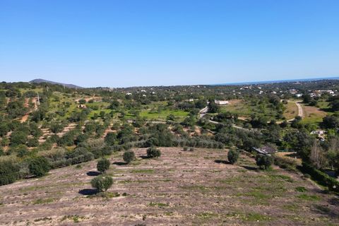 Erhvervsejendom i Estoi, Faro, Estoi - € 2.200.000 | Ref: RC007 - foto 22