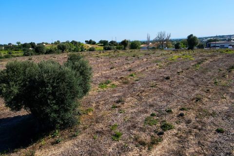 Erhvervsejendom i Estoi, Faro, Estoi - € 2.200.000 | Ref: RC007 - foto 24