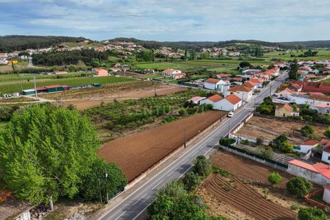 Helårsgrund i Torres Vedras, Lisbon, Torres Vedras - € 85.000 | Ref: C0484-00486 - foto 1