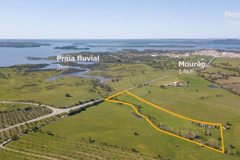 Tomt i Mourao, Evora, Mourao - € 215 000 | Ref: C0484-00487 - foto 5