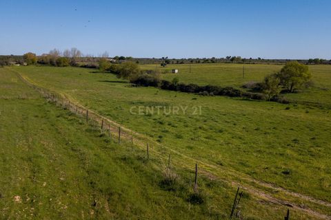 Tomt i Mourao, Evora, Mourao - € 215 000 | Ref: C0484-00487 - foto 6