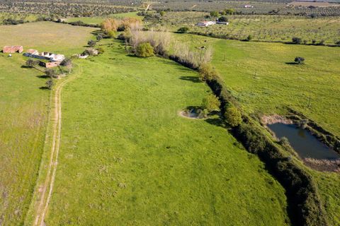Tomt i Mourao, Evora, Mourao - € 215 000 | Ref: C0484-00487 - foto 9