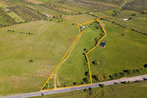 Tomt i Mourao, Evora, Mourao - € 215 000 | Ref: C0484-00487 - foto 13