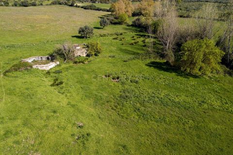 Tomt i Mourao, Evora, Mourao - € 215 000 | Ref: C0484-00487 - foto 14