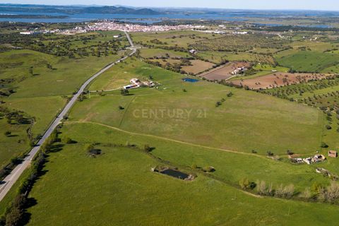 Tomt i Mourao, Evora, Mourao - € 215 000 | Ref: C0484-00487 - foto 15