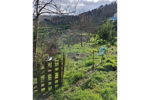 Villa i Cinfaes, Viseu, Cinfaes - € 59.000 | Ref: 120781561-6 - foto 14