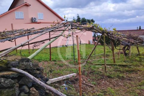 Helårsgrund i Velas, Sao Jorge, Velas - € 75.000 | Ref: TER_170 - foto 3