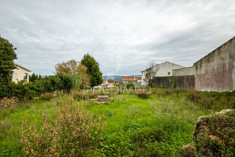 Helårsgrund i Alcobaca, Leiria, Alcobaca - € 35.000 | Ref: 040696 - foto 3