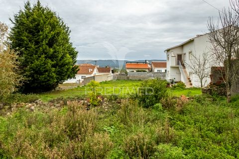 Helårsgrund i Alcobaca, Leiria, Alcobaca - € 35.000 | Ref: 040696 - foto 2