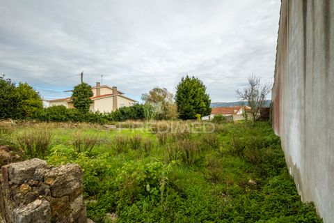 Helårsgrund i Alcobaca, Leiria, Alcobaca - € 35.000 | Ref: 040696 - foto 4