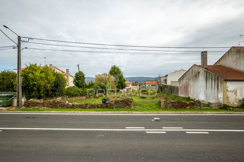Helårsgrund i Alcobaca, Leiria, Alcobaca - € 35.000 | Ref: 040696 - foto 7