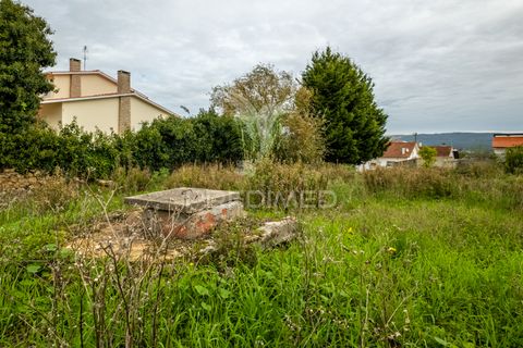 Helårsgrund i Alcobaca, Leiria, Alcobaca - € 35.000 | Ref: 040696 - foto 8