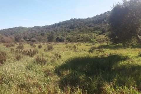 Landejendom i Bensafrim, Faro, Bensafrim - € 690.000 | Ref: 10319 - foto 10
