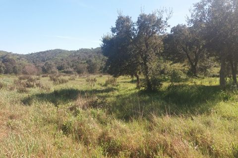 Landejendom i Bensafrim, Faro, Bensafrim - € 690.000 | Ref: 10319 - foto 12