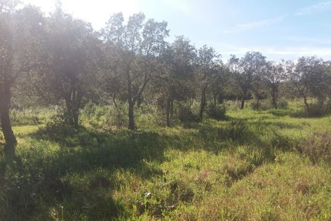 Landejendom i Bensafrim, Faro, Bensafrim - € 690.000 | Ref: 10319 - foto 13