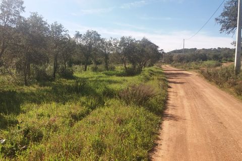 Landejendom i Bensafrim, Faro, Bensafrim - € 690.000 | Ref: 10319 - foto 14
