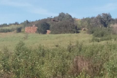 Landejendom i Bensafrim, Faro, Bensafrim - € 690.000 | Ref: 10319 - foto 15