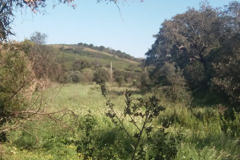Landejendom i Bensafrim, Faro, Bensafrim - € 690.000 | Ref: 10319 - foto 23