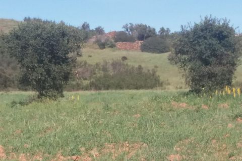 Landejendom i Bensafrim, Faro, Bensafrim - € 690.000 | Ref: 10319 - foto 24
