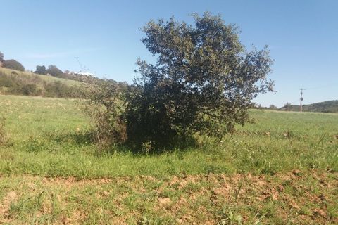 Landejendom i Bensafrim, Faro, Bensafrim - € 690.000 | Ref: 10319 - foto 26