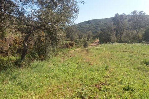 Landejendom i Bensafrim, Faro, Bensafrim - € 690.000 | Ref: 10319 - foto 28
