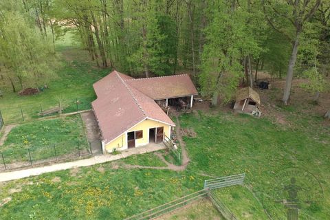 Villa a Angervilliers, Essonne, Angervilliers - € 835.000 | Ref: 85902586 - foto 20